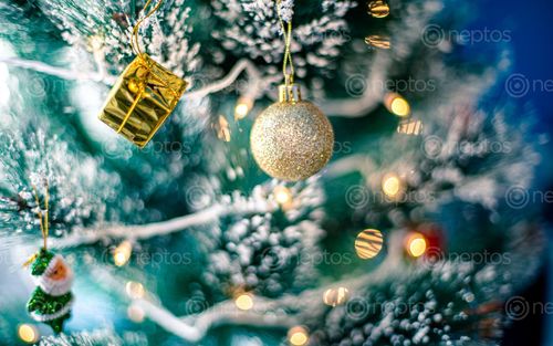 Find  the Image decoration,christmas,tree,lights  and other Royalty Free Stock Images of Nepal in the Neptos collection.