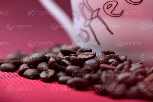 Find  the Image coffee,beans,mug,red,matt  and other Royalty Free Stock Images of Nepal in the Neptos collection.