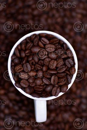 Find  the Image coffee,beans,cup  and other Royalty Free Stock Images of Nepal in the Neptos collection.