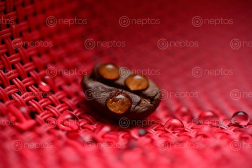 Find  the Image water,drops,coffee,bean  and other Royalty Free Stock Images of Nepal in the Neptos collection.