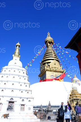 Find  the Image swayambhunath,temple,boudhanath,stupa,kathmandu,nepal#stockimage#,nepalphotographybysita,mayashrestha  and other Royalty Free Stock Images of Nepal in the Neptos collection.