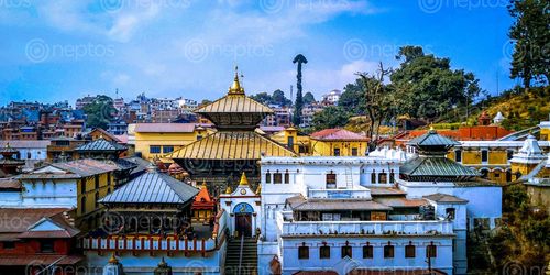 Find  the Image clear,view,pashupatinath,temple  and other Royalty Free Stock Images of Nepal in the Neptos collection.