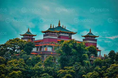 Find  the Image beauty,middle,forest,mesmerising,view,ofkapan,gumba  and other Royalty Free Stock Images of Nepal in the Neptos collection.