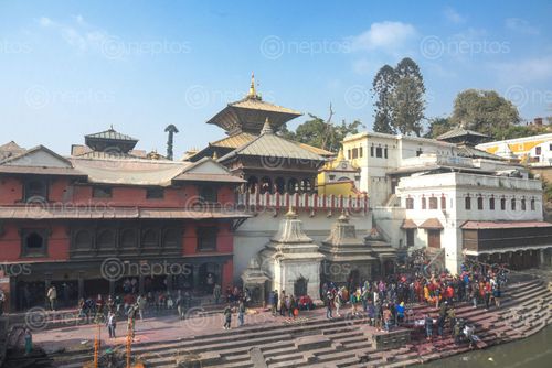 Find  the Image pashupatinath,temple,sacred,hindu,temples,nepal  and other Royalty Free Stock Images of Nepal in the Neptos collection.