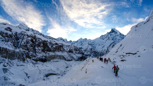Find  the Image trekkers,annapurna,base,camp,glaciers,left,macchapucchre,background  and other Royalty Free Stock Images of Nepal in the Neptos collection.