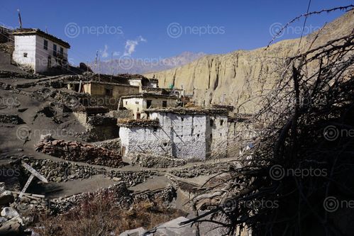 Find  the Image lupra,village,traditional,architecture,mustang,nepal  and other Royalty Free Stock Images of Nepal in the Neptos collection.