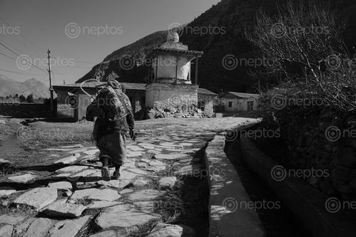 Find  the Image street,chairo,village,mustang,nepal  and other Royalty Free Stock Images of Nepal in the Neptos collection.