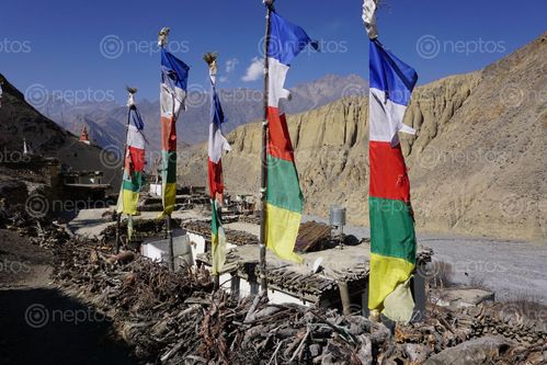 Find  the Image beautiful,lupra,village,buddhist,prayers,flag,lower,mustang,nepal  and other Royalty Free Stock Images of Nepal in the Neptos collection.
