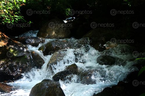 Find  the Image small,waterfall,#sindhupalchok,#stockimage,#nepalphotographybysitamayashrestha  and other Royalty Free Stock Images of Nepal in the Neptos collection.
