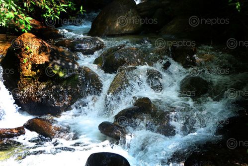 Find  the Image small,waterfall,#sindhupalchok,#stockimage,#nepalphotographybysitamayashrestha  and other Royalty Free Stock Images of Nepal in the Neptos collection.