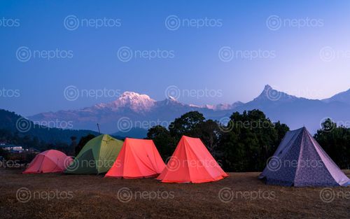 Find  the Image outdoor,camping,mardi,trek,nepal  and other Royalty Free Stock Images of Nepal in the Neptos collection.