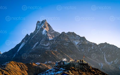 Find  the Image beautiful,landscape,view,mount,fishtail,nepal  and other Royalty Free Stock Images of Nepal in the Neptos collection.