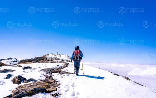 Find  the Image adventure,snow,journey,mardi,trek,nepal  and other Royalty Free Stock Images of Nepal in the Neptos collection.