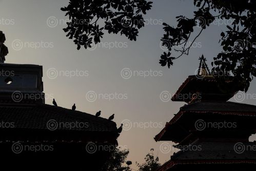 Find  the Image evening,silhouette,view,temples,kathmandu,durbar,square,nepal  and other Royalty Free Stock Images of Nepal in the Neptos collection.