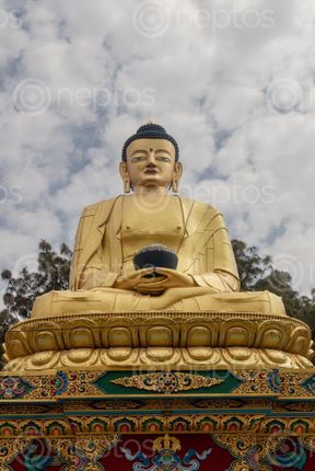 Find  the Image golden,statue,buddha,park,swayambhunath,kathmandu,nepal  and other Royalty Free Stock Images of Nepal in the Neptos collection.