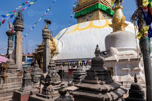 Find  the Image swayambhunath,monkey,temple,located,heart,kathmandu,nepal,declared,world,heritage,site,unesco  and other Royalty Free Stock Images of Nepal in the Neptos collection.