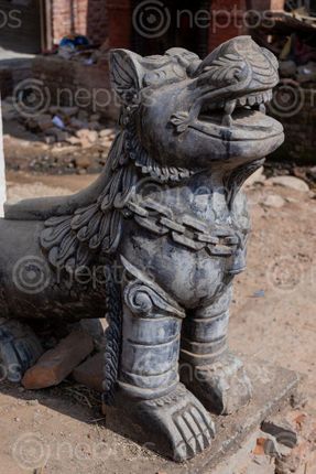 Find  the Image statue,lion,entrance,rate,machhendranath,temple,patan,nepal  and other Royalty Free Stock Images of Nepal in the Neptos collection.