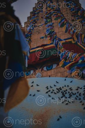 Find  the Image eyes,lord,gautam,buddha  and other Royalty Free Stock Images of Nepal in the Neptos collection.