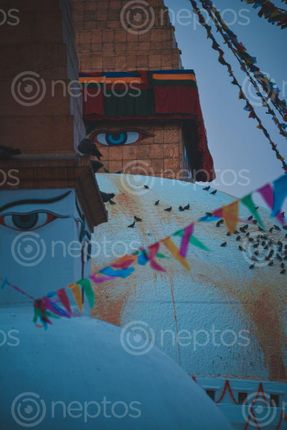 Find  the Image eyes,lord,gautam,buddha  and other Royalty Free Stock Images of Nepal in the Neptos collection.
