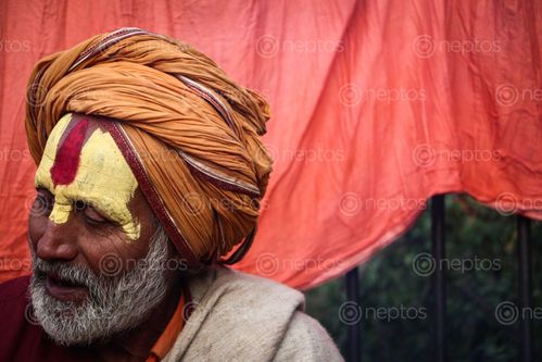 Find  the Image sadhu,maha,shivaratri,pashupatinath,temple,kathmandu,nepal,march  and other Royalty Free Stock Images of Nepal in the Neptos collection.