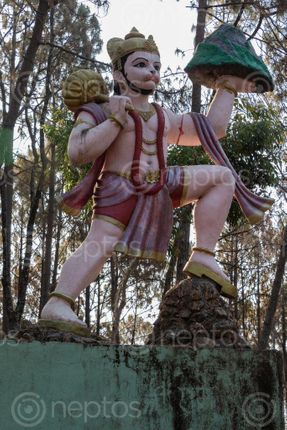 Find  the Image statue,lord,hanuman,shreenagar,tansen,palpa  and other Royalty Free Stock Images of Nepal in the Neptos collection.