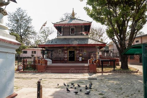 Find  the Image rana,ujeshwori,bhagwati,temple,located,inside,tansen,durbar,square,palpa,nepal,built,ujir,singh,thapa,offering,goddess  and other Royalty Free Stock Images of Nepal in the Neptos collection.