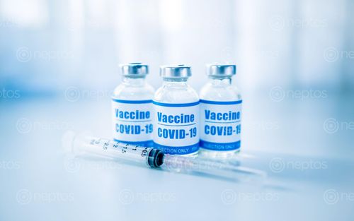Find  the Image syringes,vaccine,covid-19,coronavirus,flu,infectious,diseases,injection,clinic  and other Royalty Free Stock Images of Nepal in the Neptos collection.