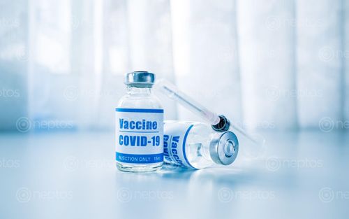 Find  the Image syringes,vaccine,covid-19,coronavirus,flu,infectious,diseases,injection,clinic  and other Royalty Free Stock Images of Nepal in the Neptos collection.