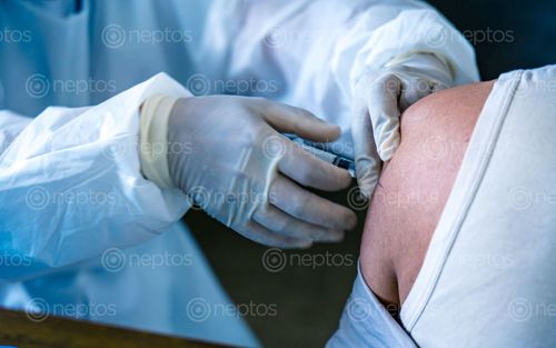 Find  the Image nurse,giving,covid-19,vaccine,patient,vaccination,prevention,corona,virus,pandemic  and other Royalty Free Stock Images of Nepal in the Neptos collection.