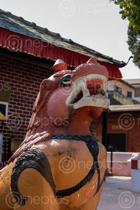 Find  the Image statue,lion,entrance,staircase,rana,ujeshwori,bhagwati,temple,tansen,palpa,nepal  and other Royalty Free Stock Images of Nepal in the Neptos collection.