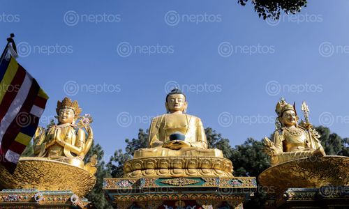 Find  the Image golden,statue,buddha,park,swayambhunath,kathmandu,nepal  and other Royalty Free Stock Images of Nepal in the Neptos collection.