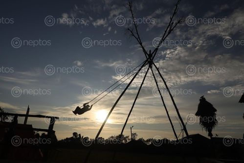 Find  the Image man,enjoying,swing,ping,dashin  and other Royalty Free Stock Images of Nepal in the Neptos collection.
