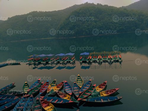 Find  the Image phewa,lake,freshwater,nepal,called,baidam,tal,located,south,pokhara,valley,includes,city,parts,sarangkot,kaskikot,stream-fed,dam,regulates,water,reserves,classified,semi-natural  and other Royalty Free Stock Images of Nepal in the Neptos collection.